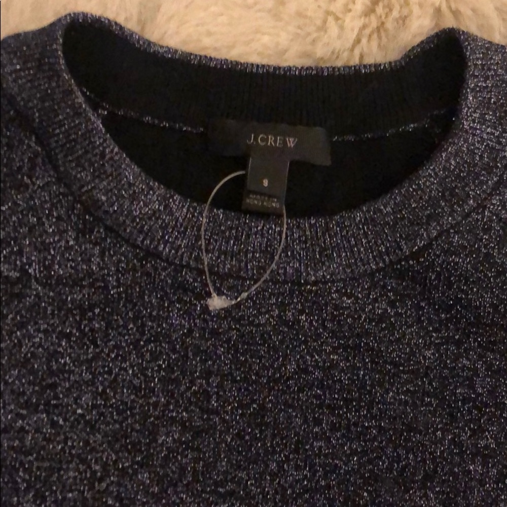 Jcrew metallic sweatshirt